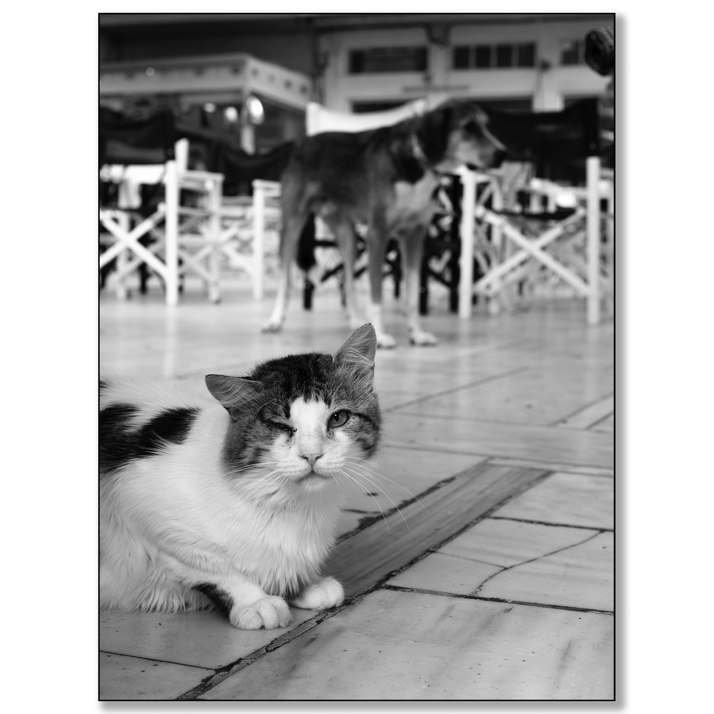 Griekenland, Karya, lucky cat