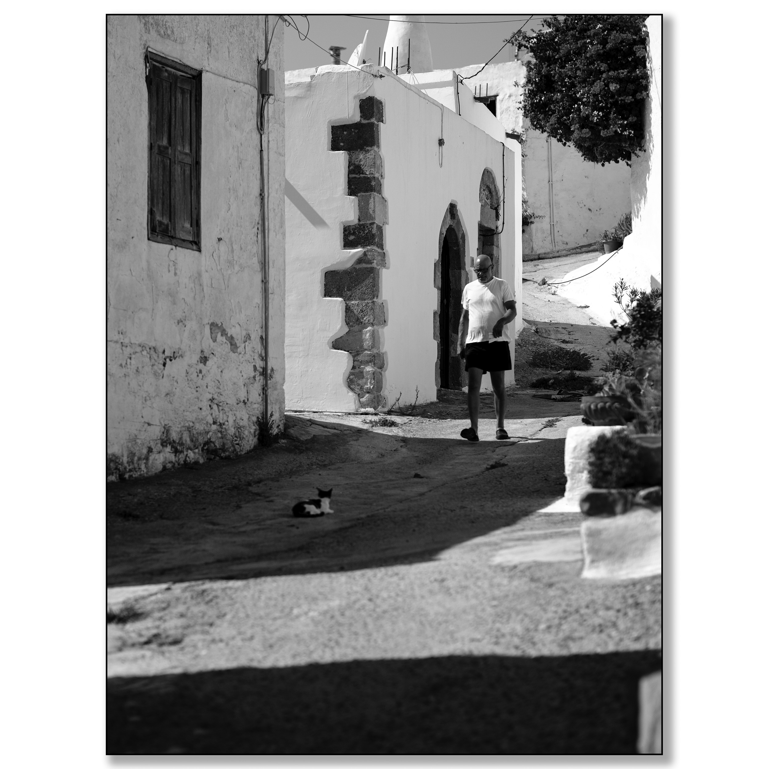 Griekenland, Lachania, man en kat